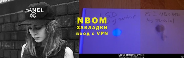 ПСИЛОЦИБИНОВЫЕ ГРИБЫ Белокуриха