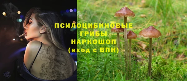 ПСИЛОЦИБИНОВЫЕ ГРИБЫ Белокуриха
