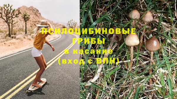 ПСИЛОЦИБИНОВЫЕ ГРИБЫ Белокуриха