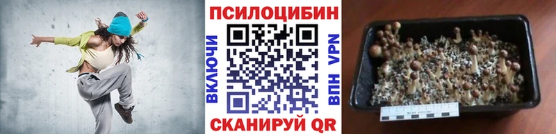 Галлюциногенные грибы мухоморы  Сердобск 