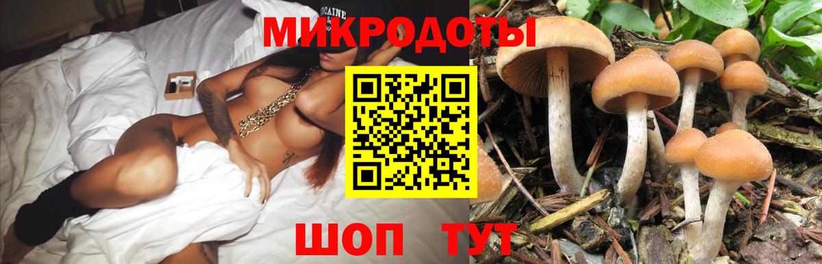 Сердобск  Галлюциногенные грибы Cubensis  Псилоцибиновые грибы MAGIC MUSHROOMS  Вход с VPN 
