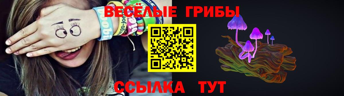 Псилоцибиновые грибы MAGIC MUSHROOMS Сердобск